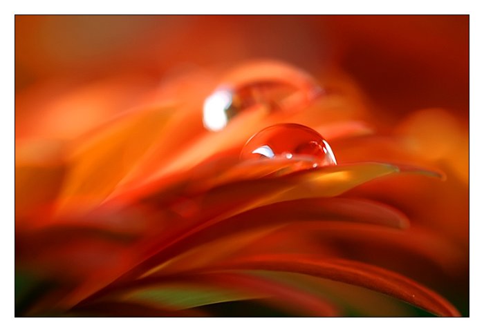 10 - drops.jpg